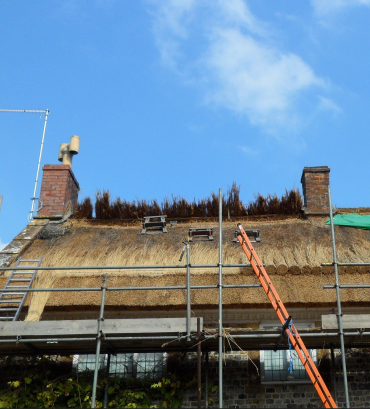 Thatchsayf - Featured Projects 5