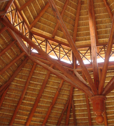 Featured Projects - 6