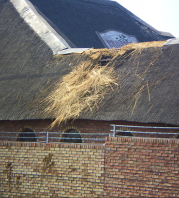 micon thatchsayf - Featured-Projects 5