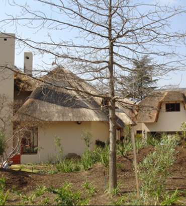 Featured-Projects-6-1 2