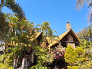 Micon coatings - featured projects 11