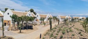 Micon coatings - featured projects 9