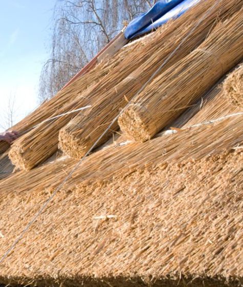 Micon fabricsayf overview 1.1