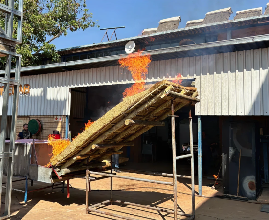 sans_10177_12_image-micon